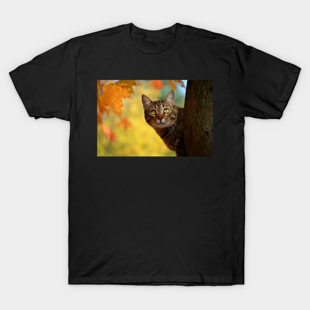 Fall Cat T-Shirt by LaurenGalanty